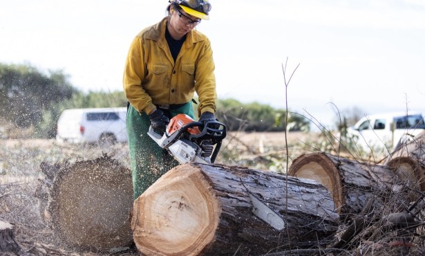 Work at Santa Barbara Douglas Family Preserve Begins