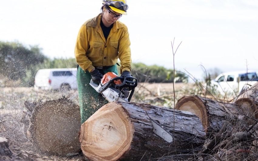 Work at Santa Barbara Douglas Family Preserve Begins