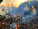 Firefighters Stop Vegetation Fire on Carpinteria Bluffs Nature Preserve