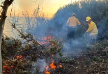 Firefighters Stop Vegetation Fire on Carpinteria Bluffs Nature Preserve