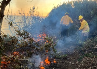 Firefighters Stop Vegetation Fire on Carpinteria Bluffs Nature Preserve