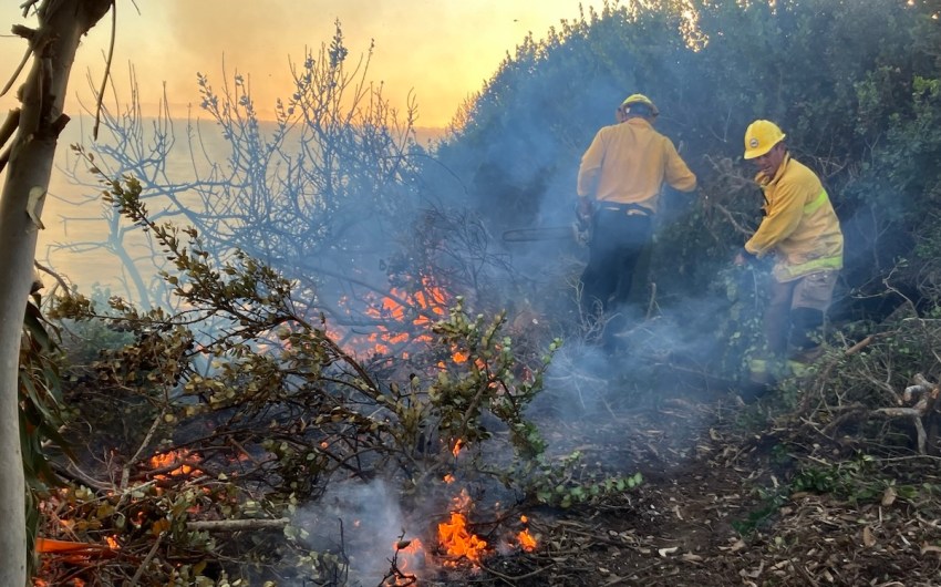 Firefighters Stop Vegetation Fire on Carpinteria Bluffs Nature Preserve