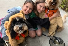 Doggie Costume Contest