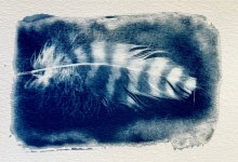 Blueprints of Nature: Cyanotype Printing Workshop