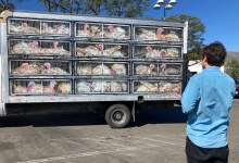 PETA’s ‘Hell on Wheels’ Rolls into Santa Barbara