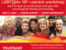 Virtual Parent Workshop: LGBTQIA+ 101