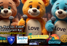 Teddy Bear Cancer Foundation Comedy Fundraiser