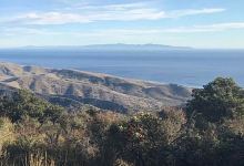 Medicinal Herbs along the Gaviota Coast with Emily