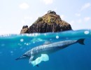 Plastics Pollution Target of Upcoming Global Treaty Meeting