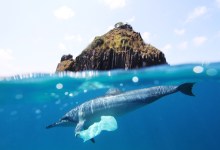 Plastics Pollution Target of Upcoming Global Treaty Meeting