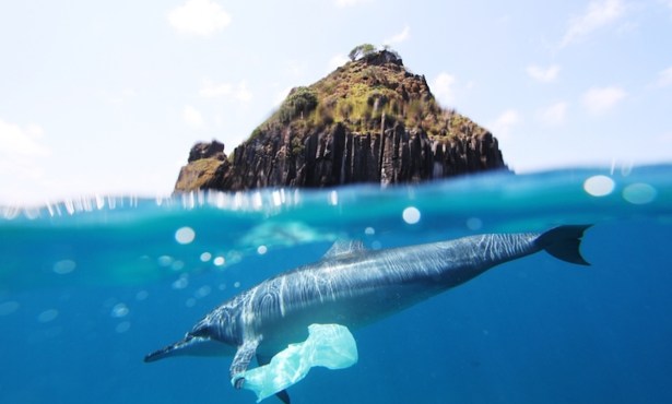 Plastics Pollution Target of Upcoming Global Treaty Meeting