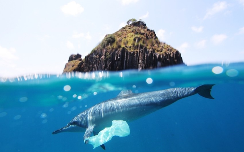 Plastics Pollution Target of Upcoming Global Treaty Meeting