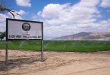 Cuyama Farm Linked to Multistate ‘E. coli’ Outbreak, Carrot Recall