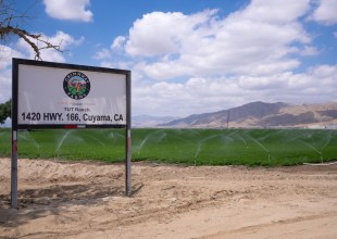 Cuyama Farm Linked to Multistate ‘E. coli’ Outbreak, Carrot Recall