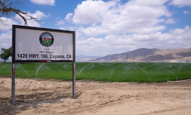 Cuyama Farm Linked to Multistate ‘E. coli’ Outbreak, Carrot Recall