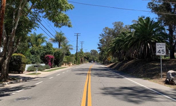 Peace Breaks Out Between Bike Lane and Palm Trees on Modoc Road