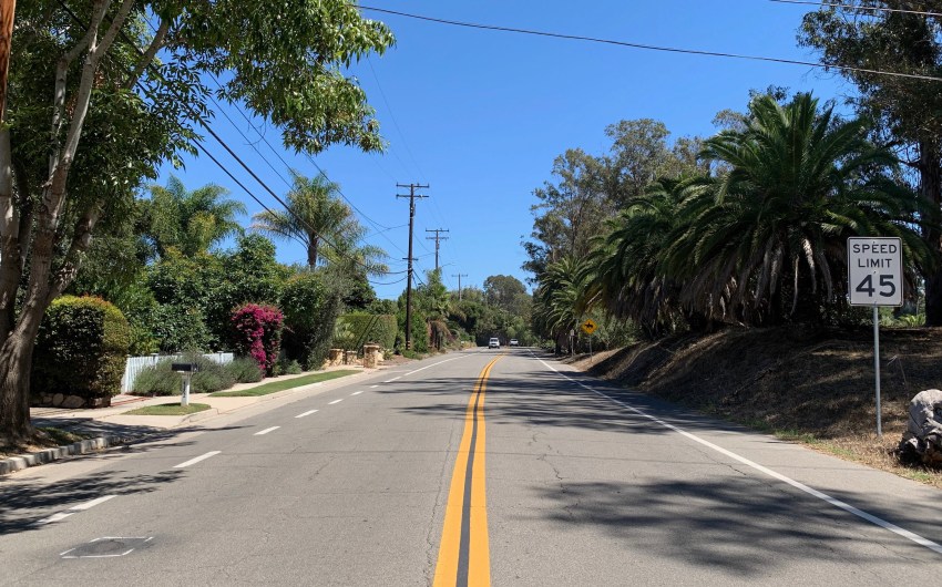 Peace Breaks Out Between Bike Lane and Palm Trees on Modoc Road