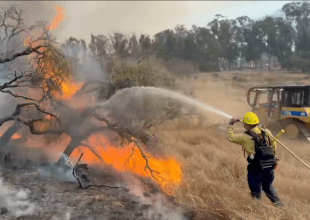 Update: Forward Progress of Santa Lucia Fire near Lompoc Stopped, All Evacuation Warnings Lifted