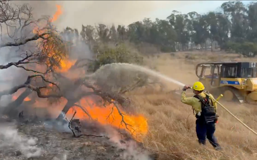 Update: Evacuation Orders Downgraded to Warnings for Santa Lucia Fire Near Lompoc