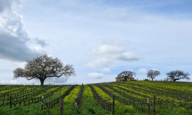 Santa Barbara County Wine Preserve Now Gathering Support