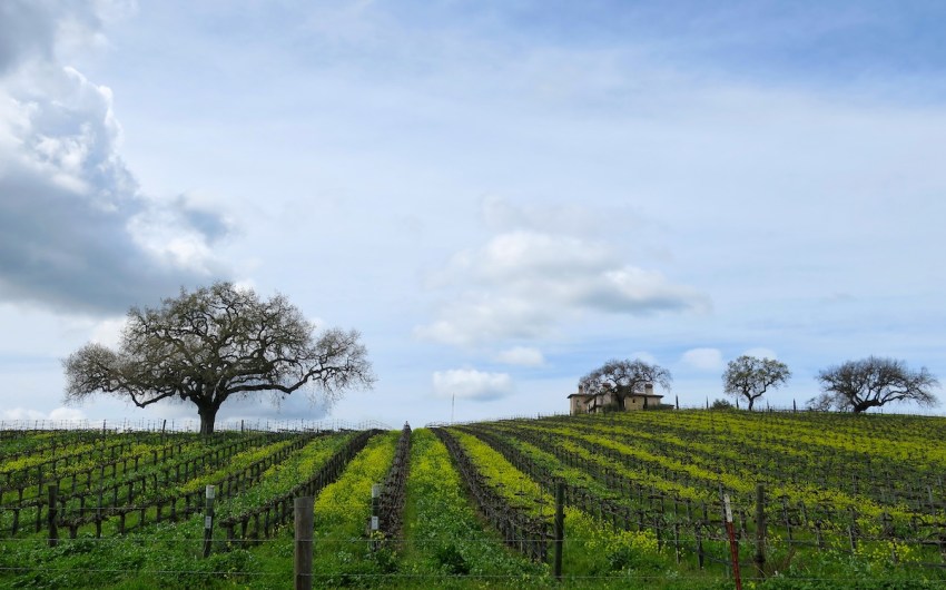 Santa Barbara County Wine Preserve Now Gathering Support