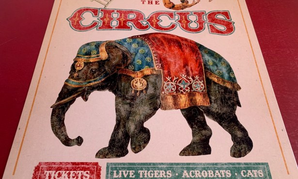 The Circus Is Back in Town