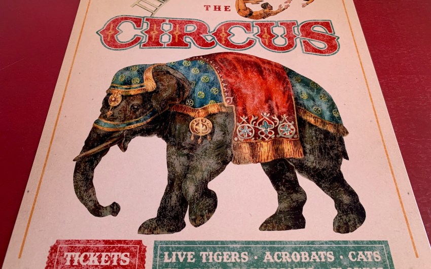 The Circus Is Back in Town