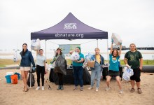 Beach Cleanup with the Sea Center