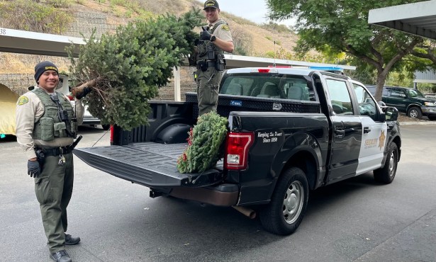 Santa Barbara Deputies Arrest Alleged Grinch Who Stole Christmas Trees