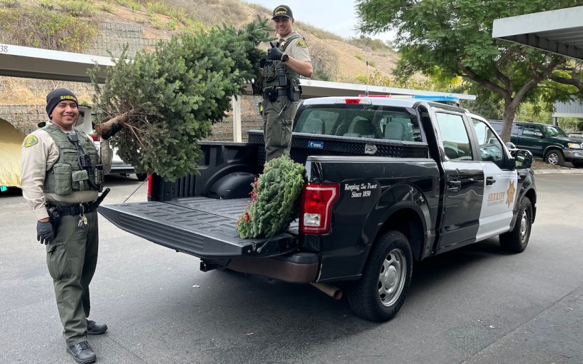 Santa Barbara Deputies Arrest Alleged Grinch Who Stole Christmas Trees