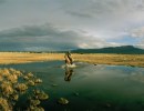 Patagonia in Four Seasons