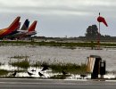 Santa Barbara Airport Attempts to Avoid Drowning