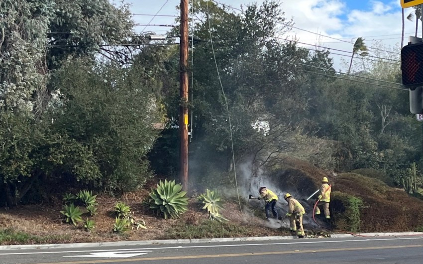 Heavy Winds Cause Power Outages, Downed Trees on Christmas Eve