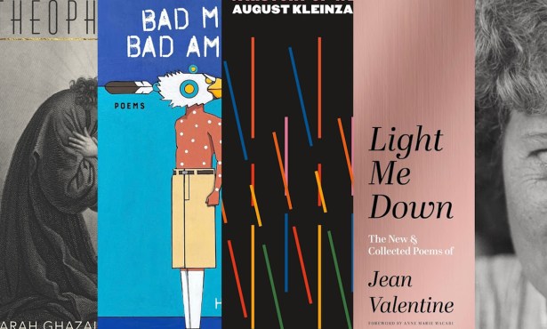 Book Review | 31 Outstanding Poetry Books from 2024: Alcalá to Zarin