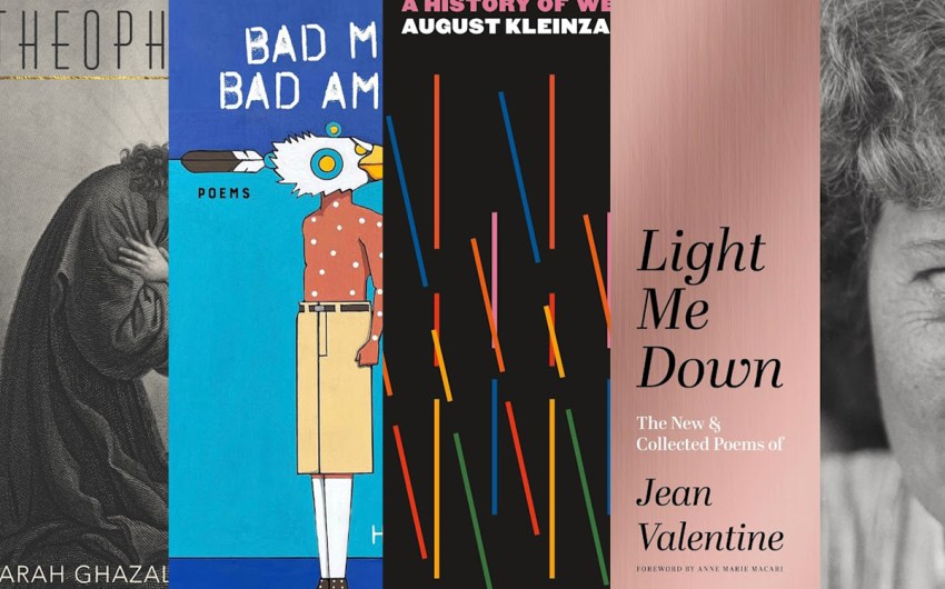 Book Review | 31 Outstanding Poetry Books from 2024: Alcalá to Zarin