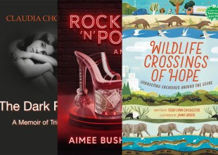 All Booked | Amazing Area Authors