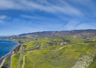 Gaviota Coast Conservancy Buys Rancho Tajiguas in ‘First Step in Permanently Protecting Coastline’