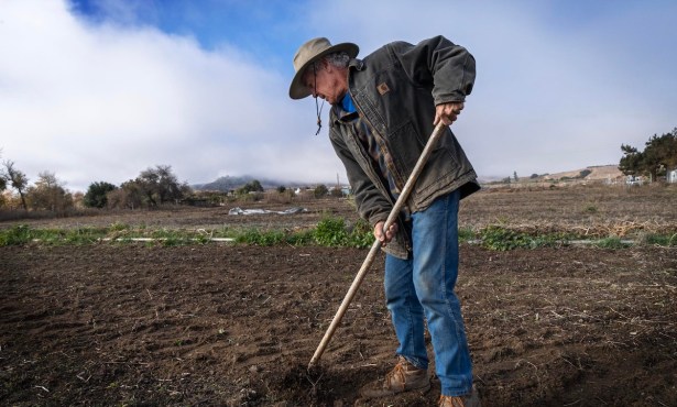 From Gourmet Pork to Subsistence Farming