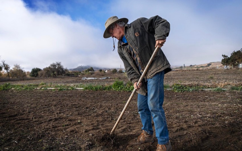 From Gourmet Pork to Subsistence Farming