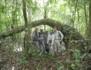 Reviving the Art of the Ancient Maya Forest Gardens