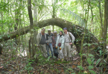 Reviving the Art of the Ancient Maya Forest Gardens