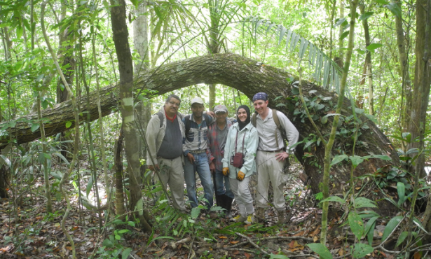 Reviving the Art of the Ancient Maya Forest Gardens