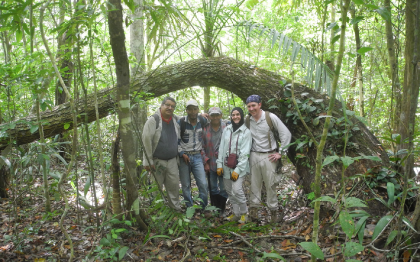 Reviving the Art of the Ancient Maya Forest Gardens