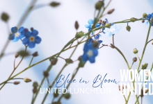 United Luncheon: Blue in Bloom