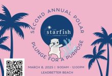 2nd Annual Polar Plunge for a Purpose