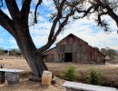 Painting in the Vineyard of Gainey’s Historic Barn