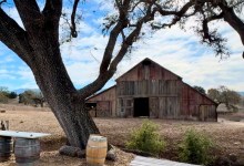 Painting in the Vineyard of Gainey’s Historic Barn