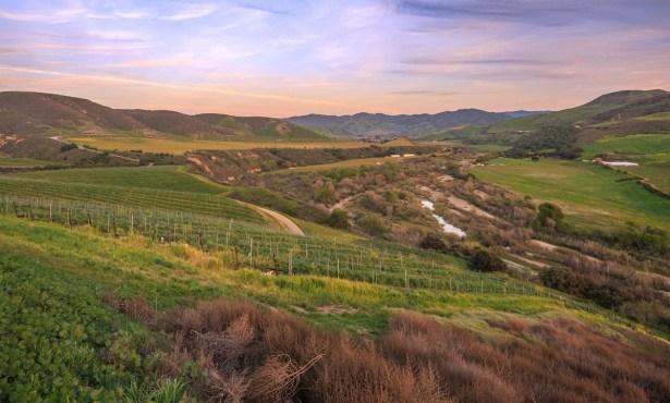 Lompoc Opts Out of Wine Country