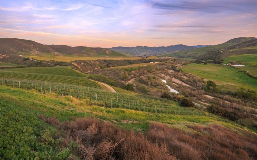 Lompoc Opts Out of Wine Country