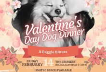 Valentine’s Day Dog Dinner at The Cruisery